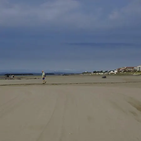 Appartamento Résidence Aquaplage 45m2 Front De Mer Plage Richelieu Agde