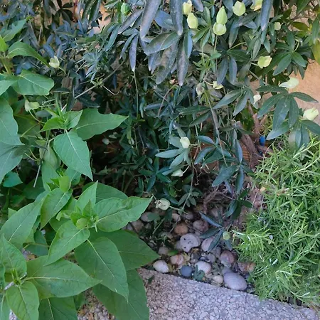 Aquaplage 45m2 Front De Richelieu Lejlighed Agde